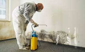 Best Biohazard Mold Removal  in Oblong, IL