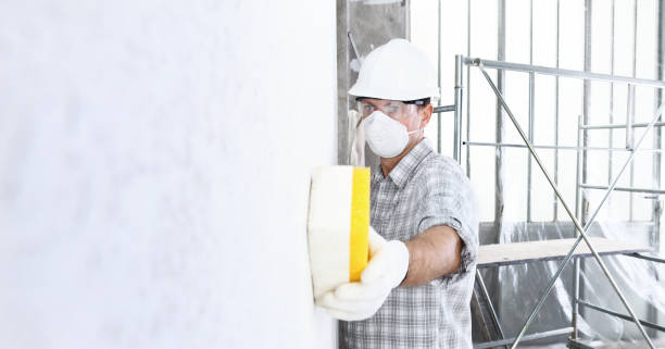 Best Mold Prevention Services  in Oblong, IL